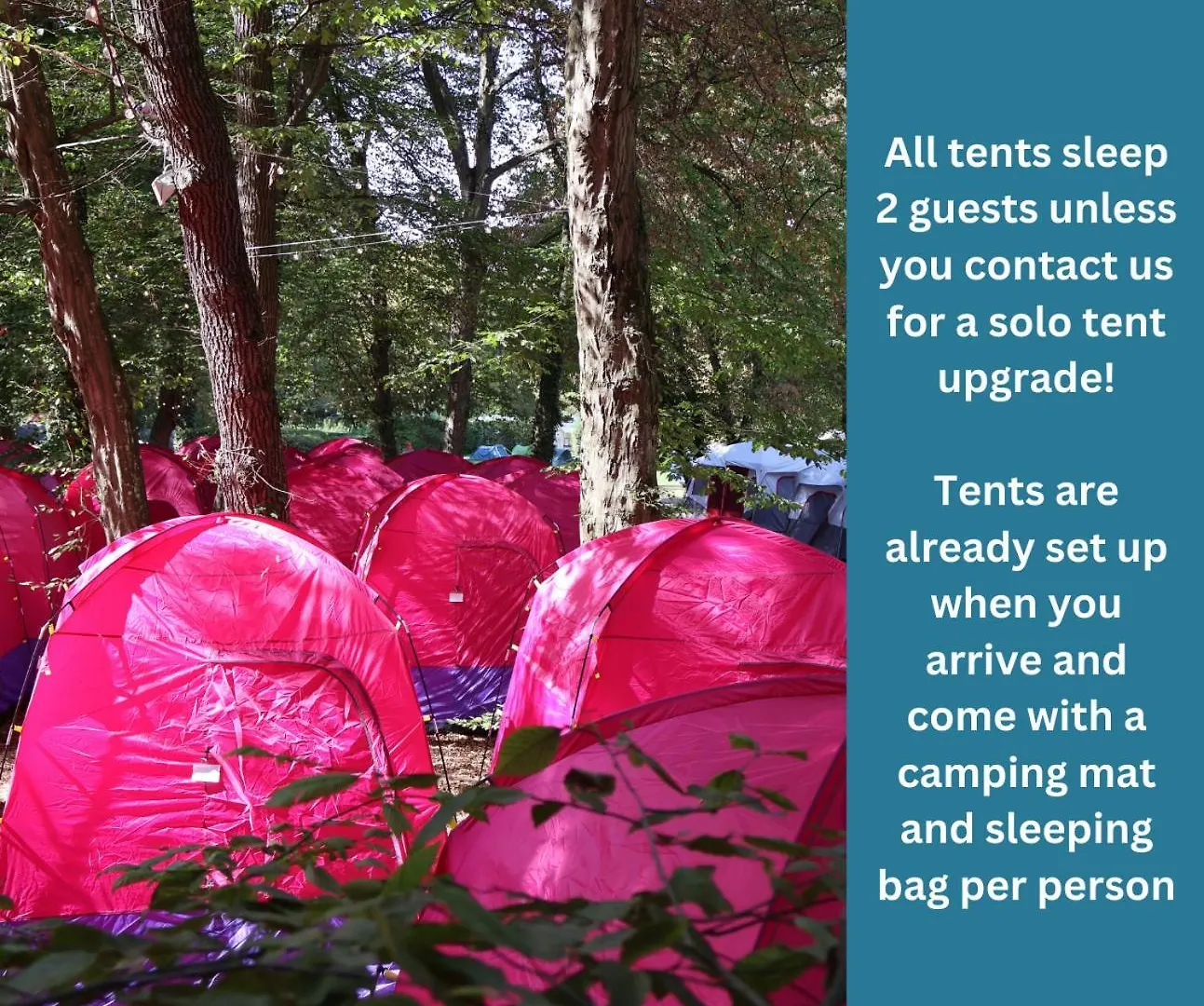Oktoberfest Inclusive Festival Camping München 0*,
